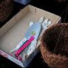 Cultivation Culture spades, latex gloves and box to collect plant selection