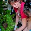 Rosie planting up a magic basket