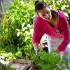 Karen deeply involved in her plants