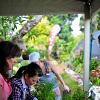 Groups work on their baskets together - enjoying the Culture of Gardening