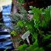 Hanging basket